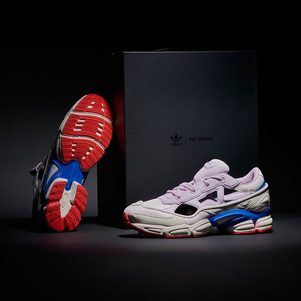 adidas By Raf Simons Replicant Ozweego USA F34237